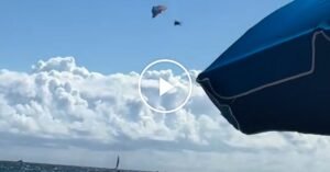 Paraglider-THUMB_V2-facebookJumbo.jpg