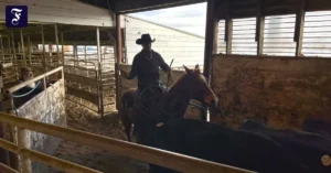 ein-cowboy-treibt-die-tiere-in.webp.webp