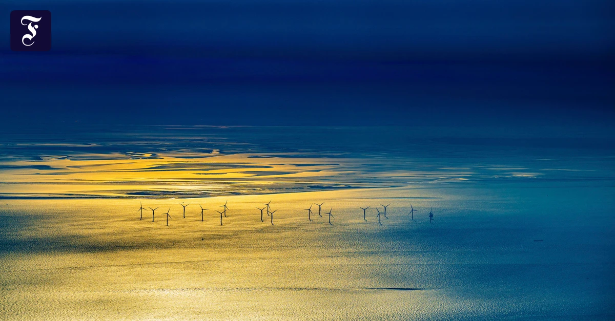 ein-offshore-windpark-in.webp.webp