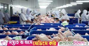 frozen_chicken_manufacturers.jpg
