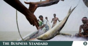 hilsa.jpg