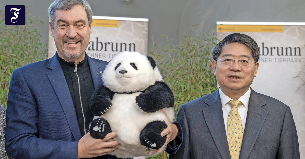 panda-diplomatie-soeder-am-21.webp.webp