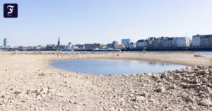 trockenheit-in-duesseldorf-im.webp.webp