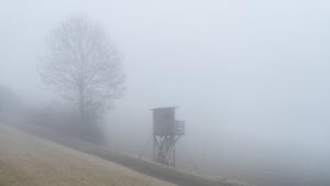 1770535555_wide__1300x731.jpeg