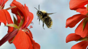 1771734147_wide__1300x731.png