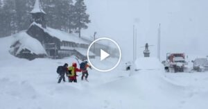 18nat-avalanche-pctq-facebookJumbo.jpg