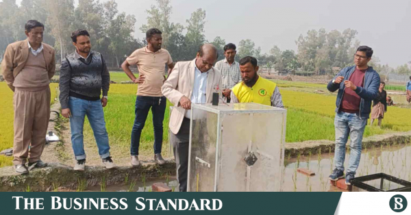 bangladesh_mitsui_rice.png
