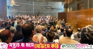 bnp_cabinet.jpeg