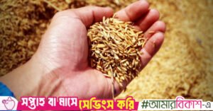 rice-1549130_1280.jpg