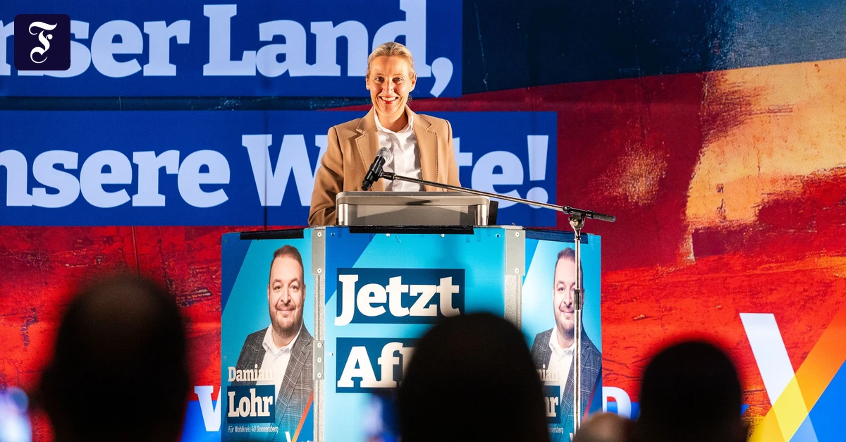 rockenhausen-alice-weidel-afd.webp.webp