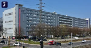 sollen-deutsche-institutionen.webp.webp