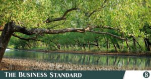 sundarbans.jpeg
