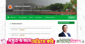 tarique_website.png