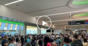 08nat-security-lines-02-facebookJumbo.jpg
