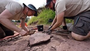 1773231597_wide__1300x731.jpeg