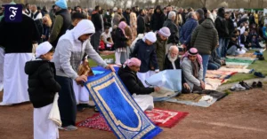 30-03-2025-sachsen-anhalt.webp.webp