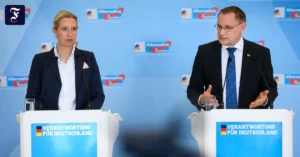 die-afd-fraktionsvorsitzenden.webp.webp