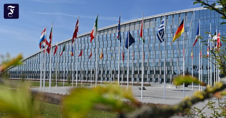 die-flaggen-der-nato.webp.webp
