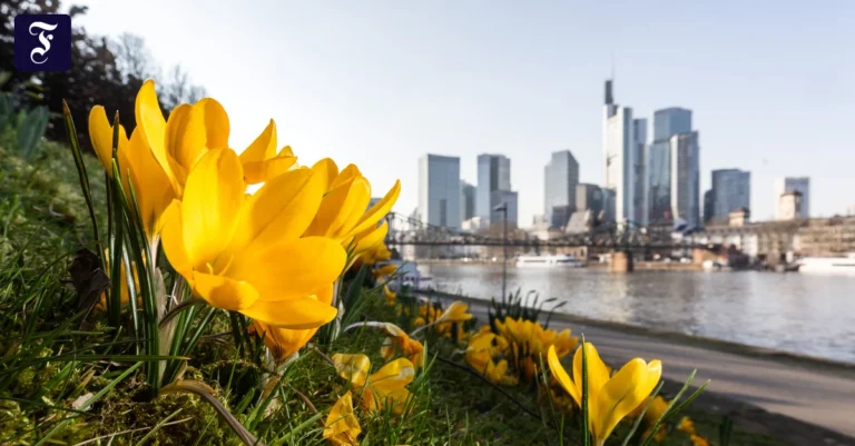 fruehling-in-frankfurt-am.webp.webp