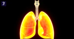 gefaehrdetes-organ-die-lunge.webp.webp