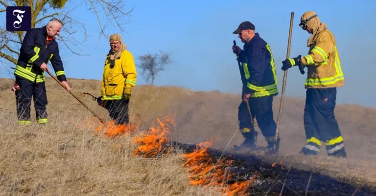 kontrolliertes-abbrennen-ob.webp.webp