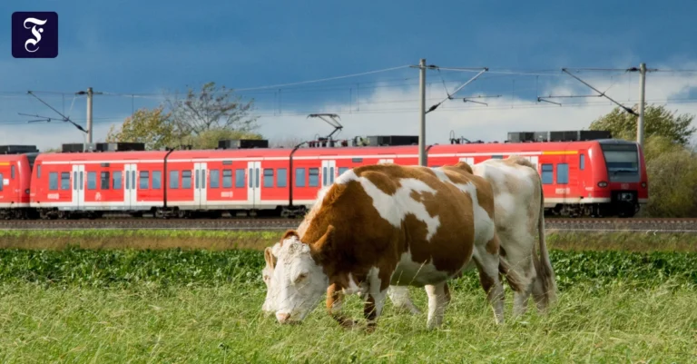 unterwegs-nahverkehrszug-in.webp.webp