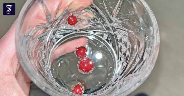 welcome-wasser-mit-beeren.webp.webp
