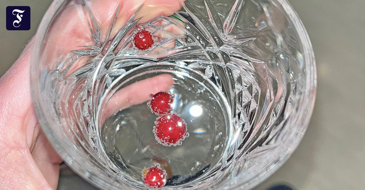 welcome-wasser-mit-beeren.webp.webp