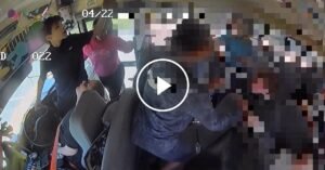 School-Bus-Thumb-facebookJumbo.jpg