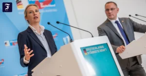 alice-weidel-und-tino.webp.webp