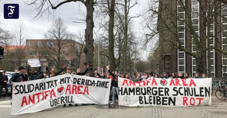als-die-hamburger-afd-2019-ein.webp.webp