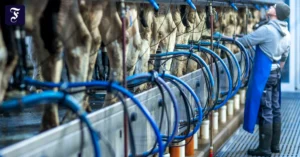 auf-jeden-liter-kommt-es-an.webp.webp