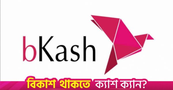 bkash_logo.jpg