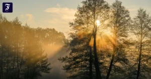 ein-sonnenaufgang-im-april.webp.webp