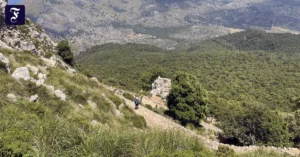 ein-wanderweg-auf-mallorca.webp.webp