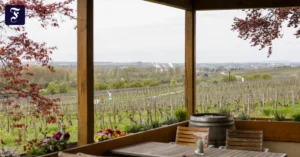 entspannung-vor-der-grossstadt.webp.webp