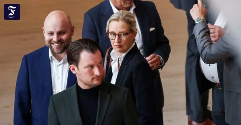 frohnmaier-und-weidel-mittlere.webp.webp