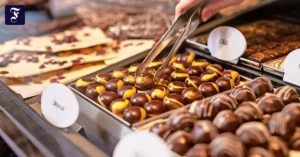 fuer-naschkatzen-wer-im-zimmer.webp.webp
