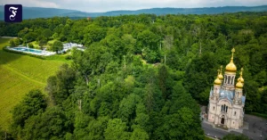 im-wald-noerdlich-des.webp.webp