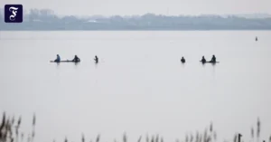 insel-poel-helfer-naehern-sich.webp.webp