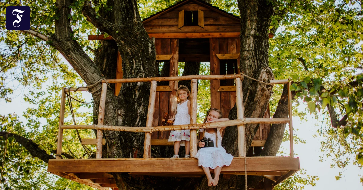 sisters-on-tree-house-in.webp.webp