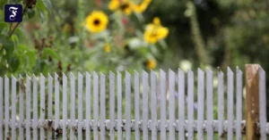 streit-ueber-den-gartenzaun.webp.webp