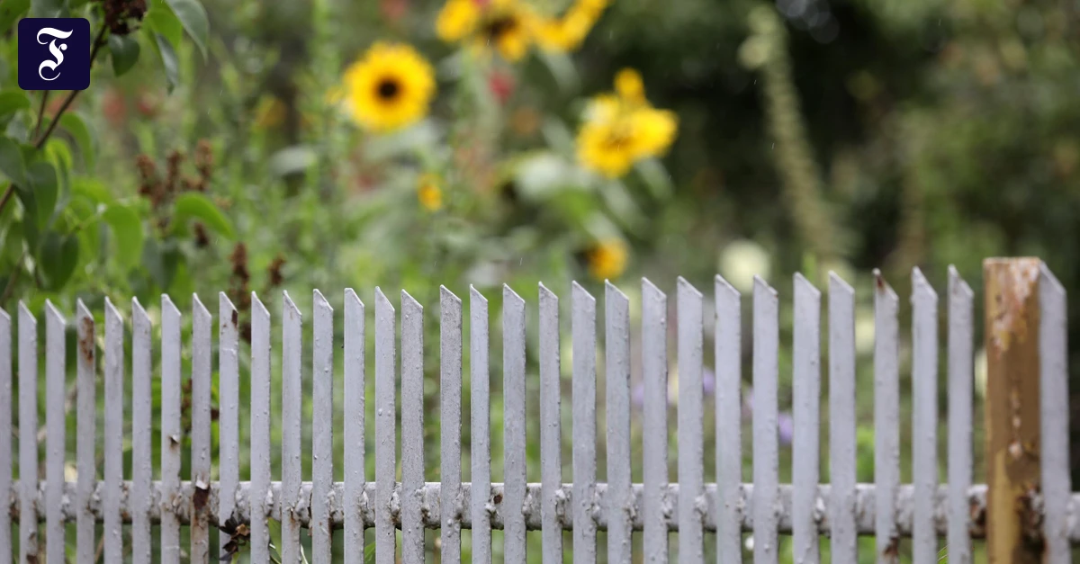 streit-ueber-den-gartenzaun.webp.webp