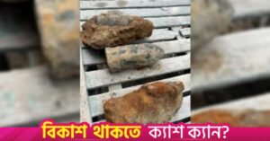 ww2_bombs_in_ctg.jpg
