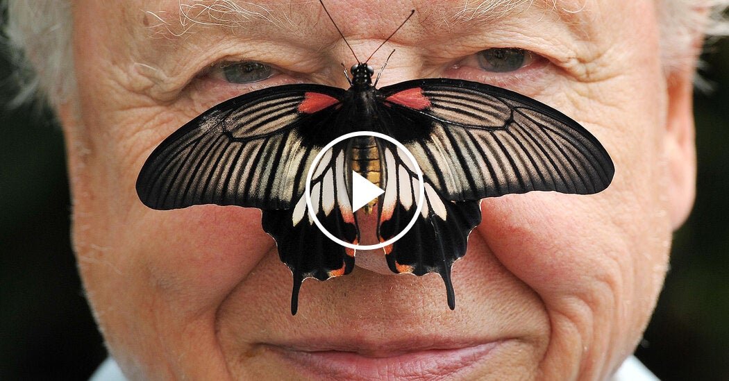 08xp-attenborough-06-mhgj-facebookJumbo.jpg