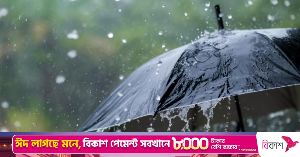 1779000631_rain_0_0.png