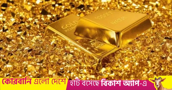 1779691649_gold_0.jpg