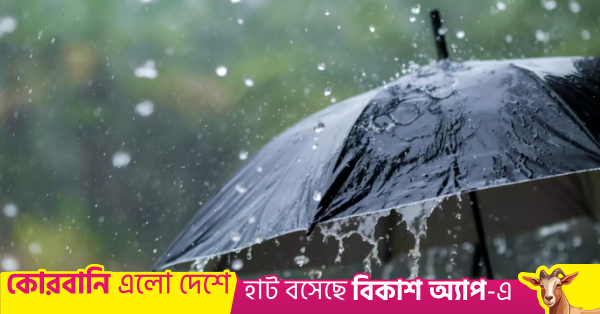 1780038084_rain_0_0.png