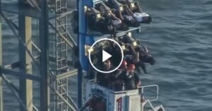 29xp-rollercoaster-facebookJumbo.jpg