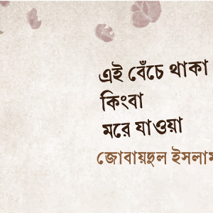 78dce4d769a8a1afe6654638955b7f97-69fc700639a01.png